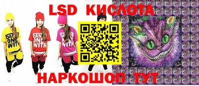 мдпв Гатчина