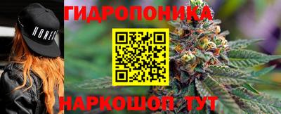 метадон Гай