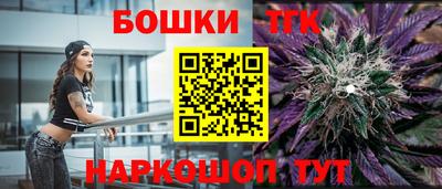 мдпв Гатчина
