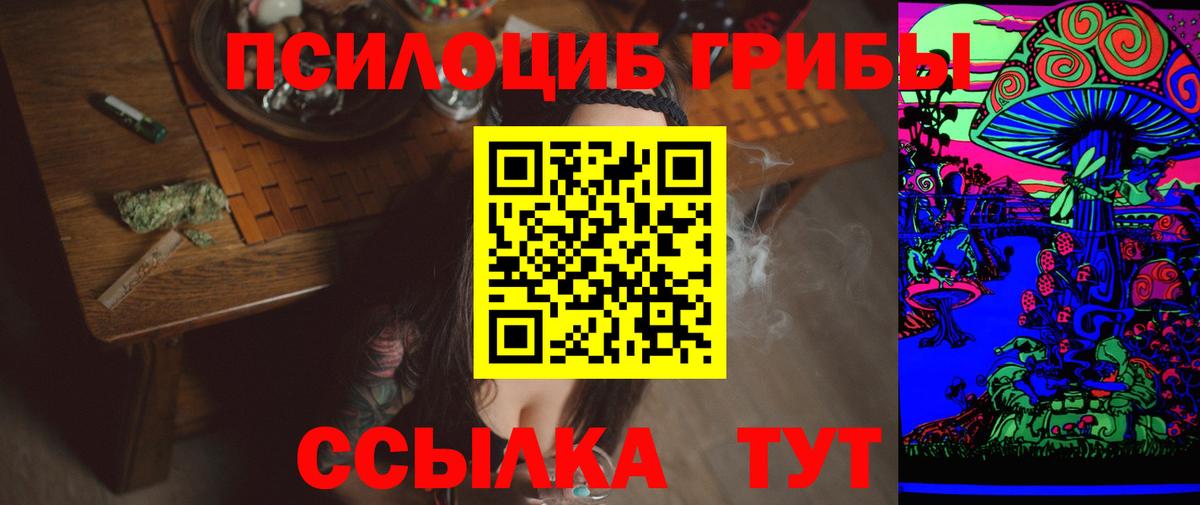Галлюциногенные грибы Cubensis  Вход с VPN  Калуга  Псилоцибиновые грибы Cubensis 